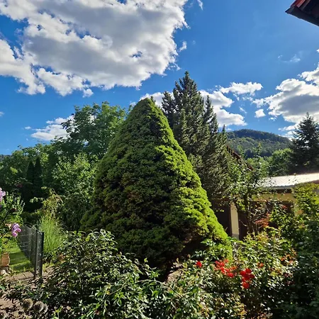 - Uhunest * Rudolstadt