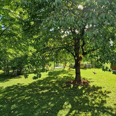 - Uhunest Holiday home Rudolstadt