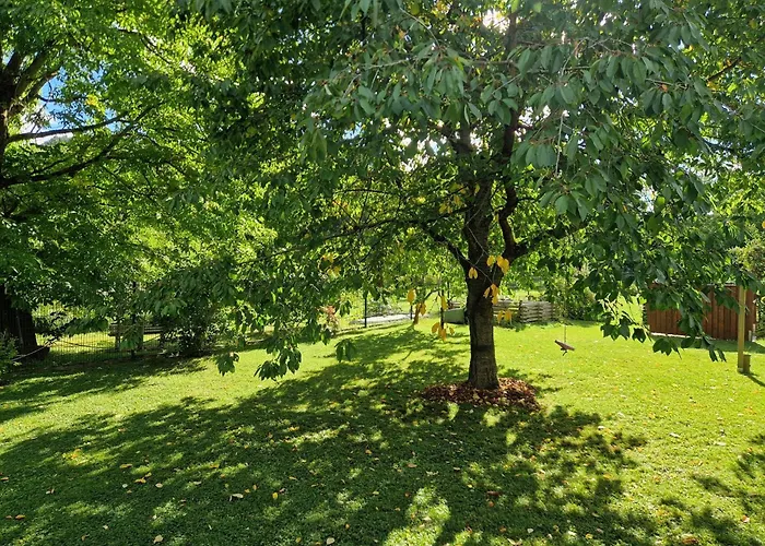 - Uhunest Holiday home Rudolstadt